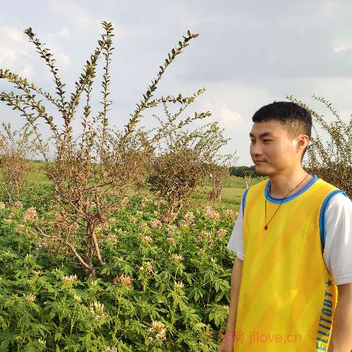 37岁岁广东单身帅哥 - 辽阳吉缘网